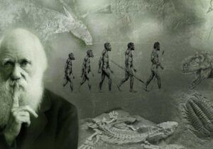 charles darwin evoluzione evoluzionismo