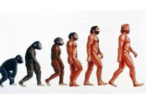 evoluzione umana