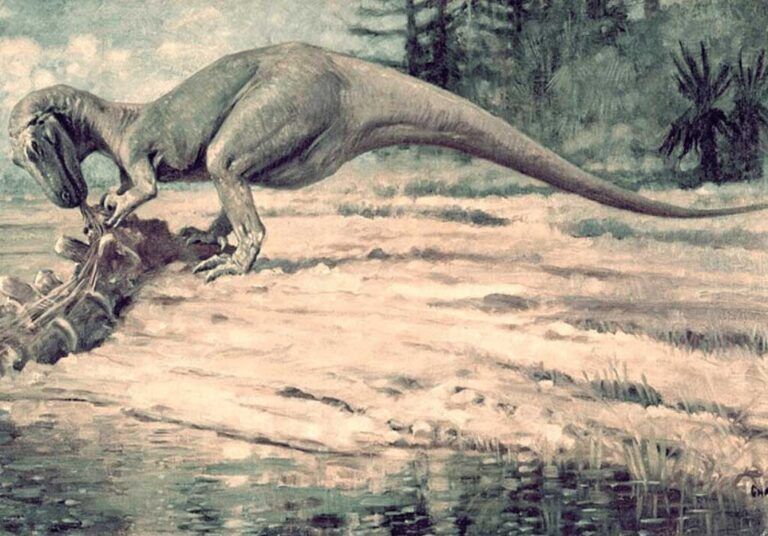 calcolare lo stress nei dinosauri