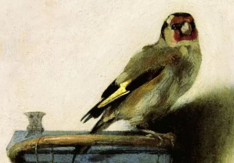 il cardellino fabritius